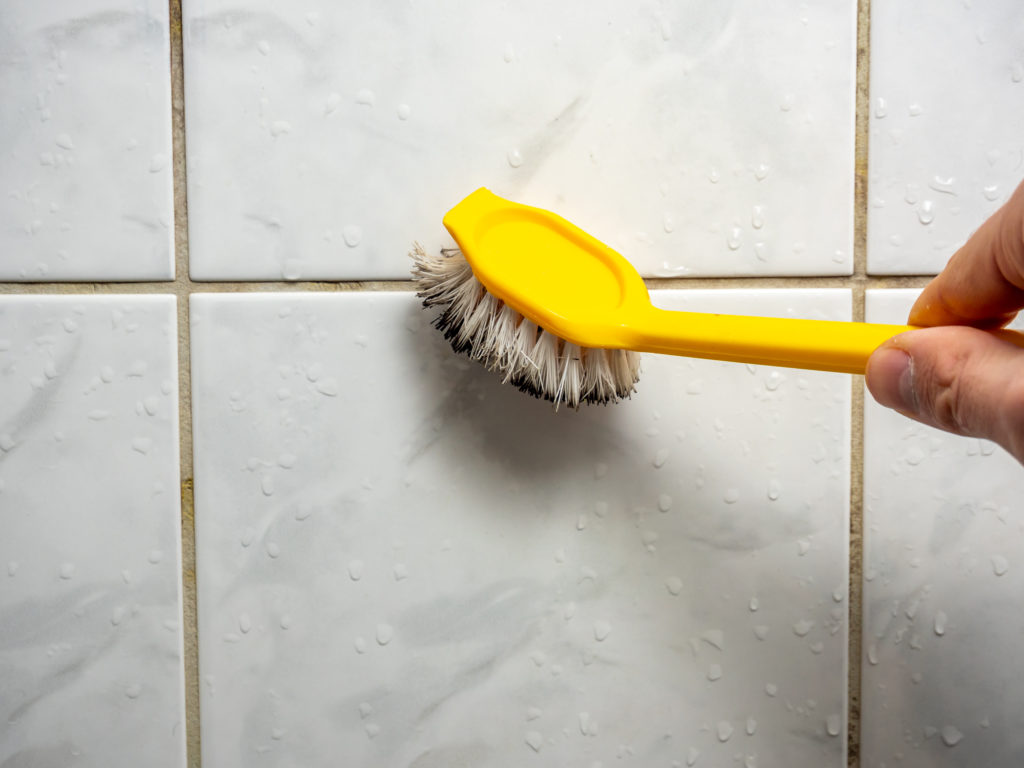 cleaning bathroom mold with a brush